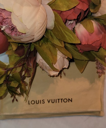 Louis vuitton dust bag long - dust,