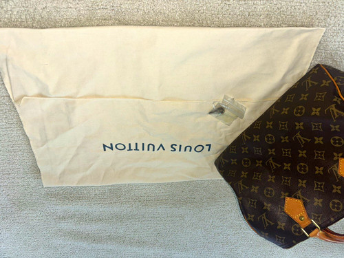 Louis vuitton speedy - louis, monogram
